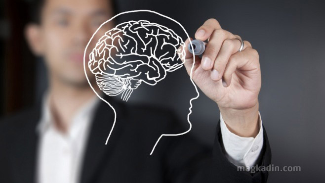 Büyük Beden, Küçük Beyin: Aşırı Kilo Beyin Sağlığımızı Nasıl Etkiler?
