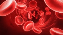 Kansızlık ve Kırmızı Kan Hücresi (Alyuvarlar) Sayısını Artıran Gıdalar